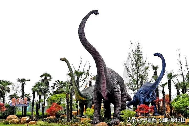 国内最适合带孩子去的十大游乐园,全国适合孩子游玩的游乐园排名