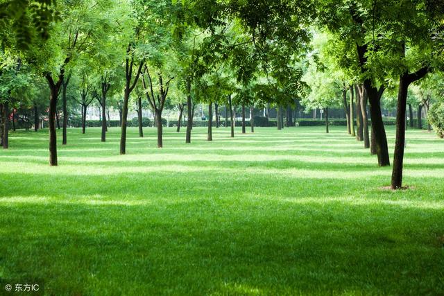 美工设计现在怎么样,美工设计有前途吗知乎