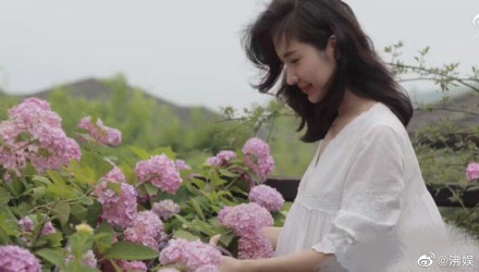 总裁夫人紫色绣球花透露花语，张大奕什么都能打版，唯独香水不行