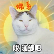 当佛系卖家遇上佛系买家，卖家发错了货，买家假装忘记买了什么！