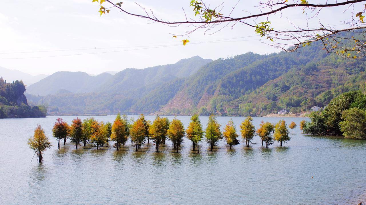 选行李箱,选旅行箱