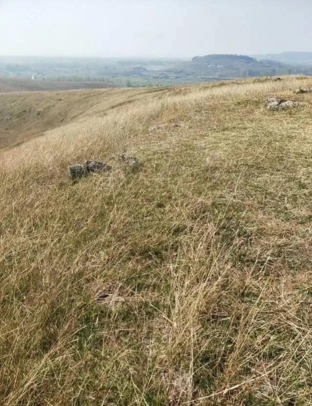 想不通就去爬山看海吧,呼伦贝尔大草原自驾游攻略