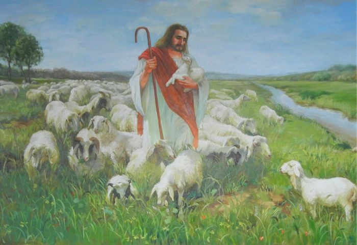 在日本被誉为“自杀森林”的青木原树海是什么地方