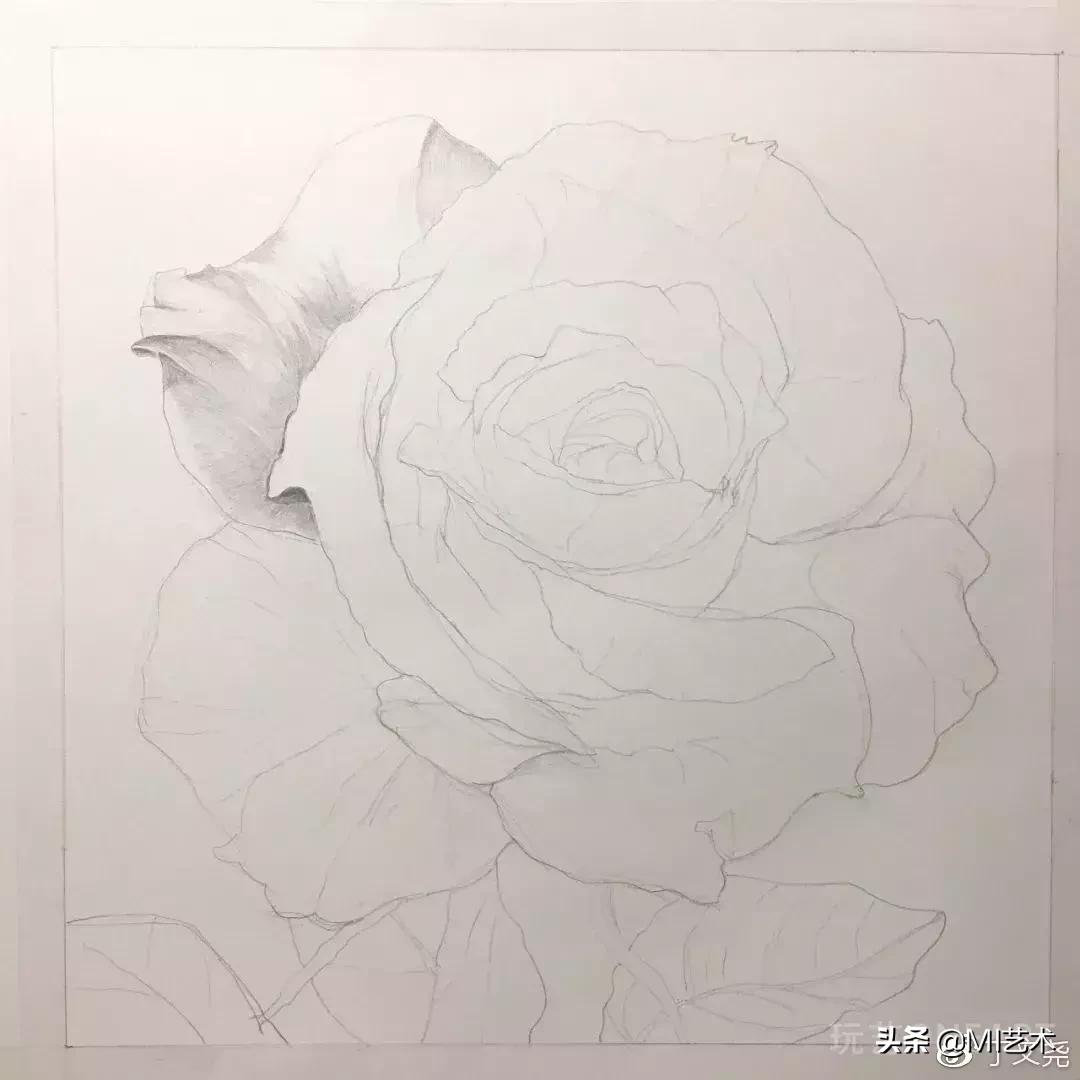 玫瑰花素描临摹高清图片,素描教程画花朵