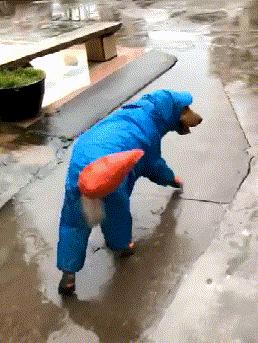 裁判，是他故意撞倒我的！搞笑动图