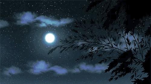 听,夜莺一直在歌唱(十四)