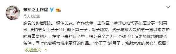 张柏芝香港家的装修,张柏芝三个儿子豪宅