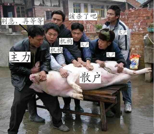 a股热门股票排行榜最新排名前十,股市十大黑庄