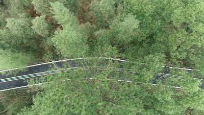 丽水“大花园”,体育是最艳丽的花朵|“浙”里的小康体育生活