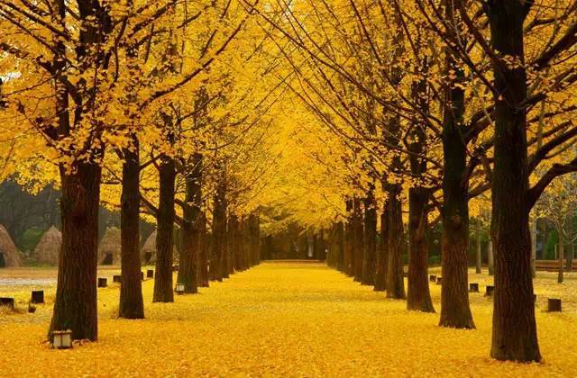 韩国釜山旅游景点,韩国旅游景点图片大全