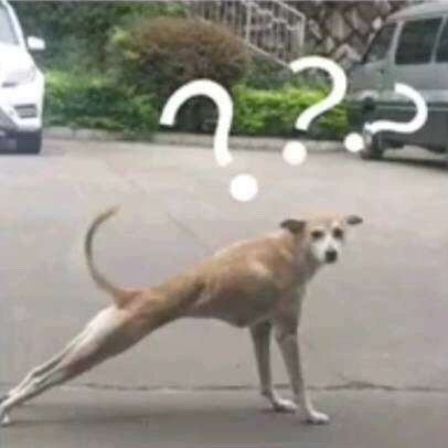 刚到日本,如何采买生活用品?