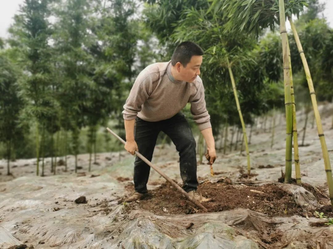 人间四月天恰逢春意浓,人间四月天暮春时节