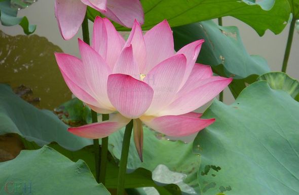 官宣足球场,关于足球场的官宣照片