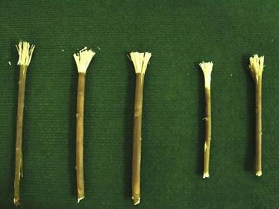 古代人是怎样刷牙清洁口腔,中国最早用什么清洁口腔