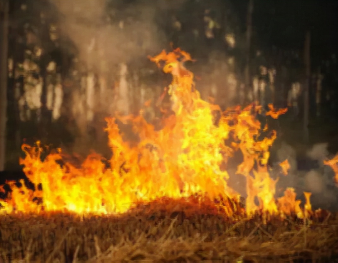 关于登高望远山水的古诗名句,登高望远原创诗词