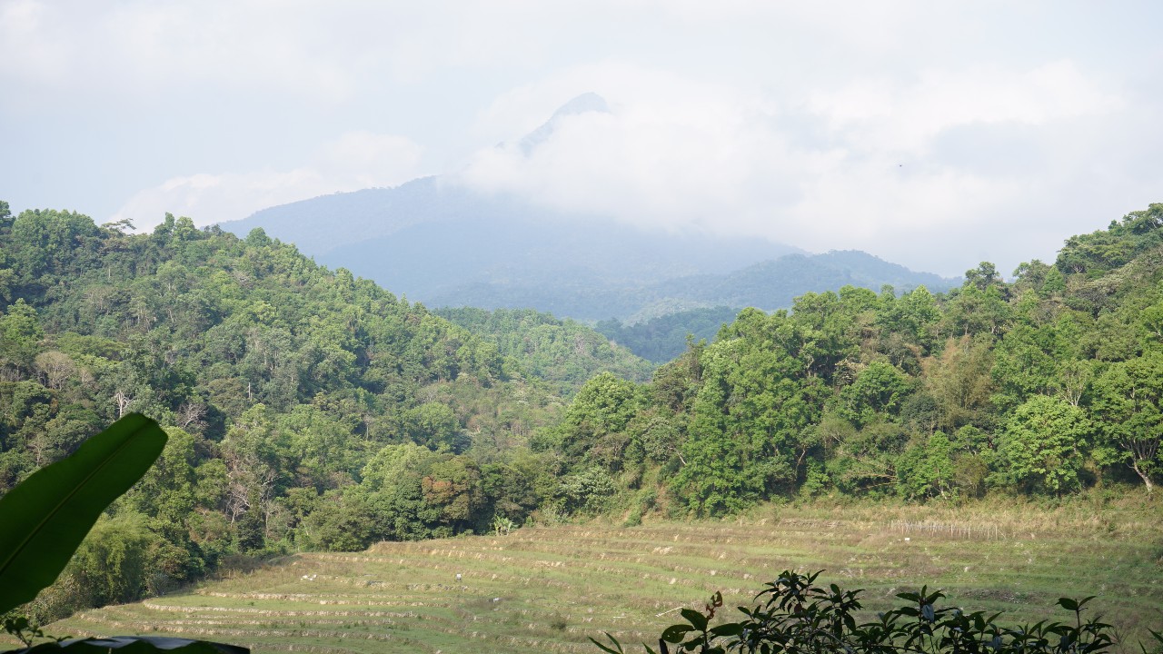 调研联盟,联合调研乡村振兴