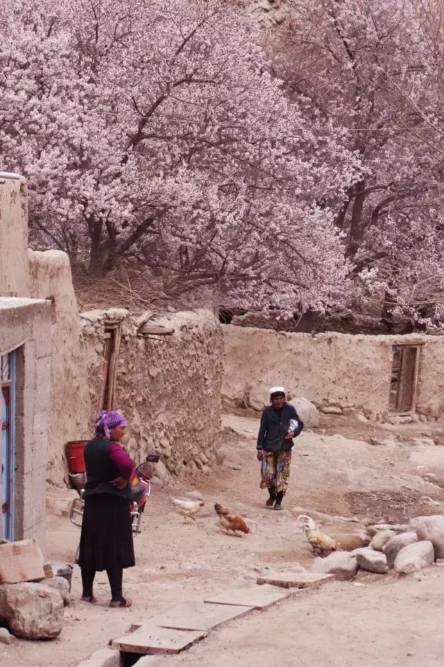 玄奘穿越帕米尔路线,帕米尔高原路线图帕莎古道