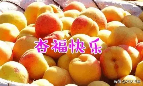 新年微信祝福贺卡,以微信为主题的新年贺卡