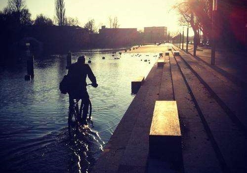 白茶清欢感恩遇见,白茶清欢山东