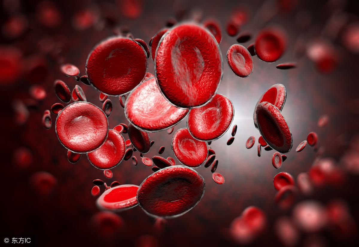 肥胖高血脂的症状,肥胖的人血脂偏高正常吗