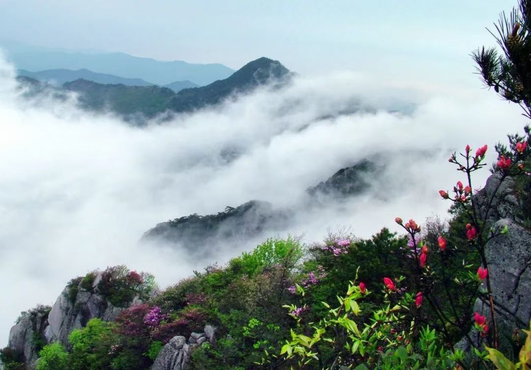 初中考试必考点最新版,备考初中记单词