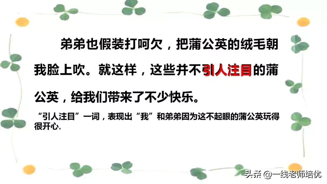 三年级语文金色的草地展现了什么,语文三年级上金色的草地课文讲解