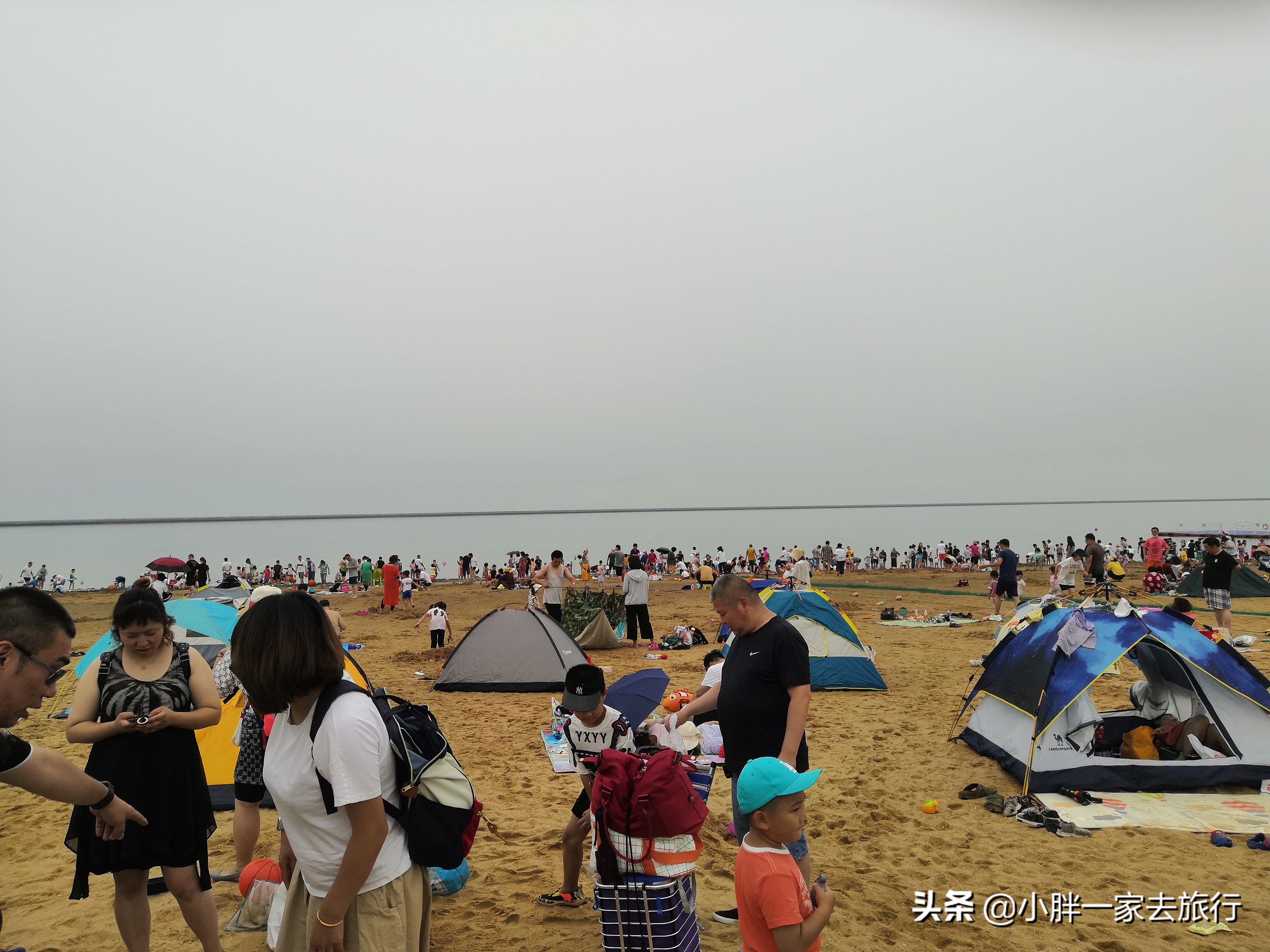 天津拾贝赶海,天津滨海新区赶海拾贝时间表