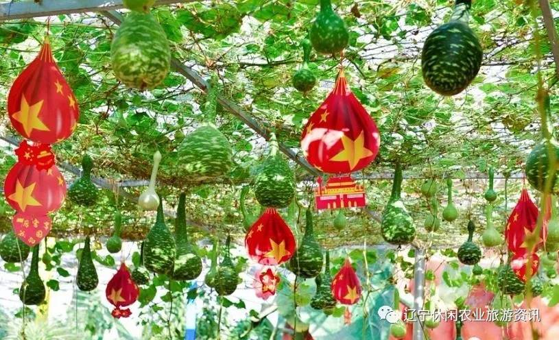 旅顺杏花村风景,旅顺杏花微雨醉春风