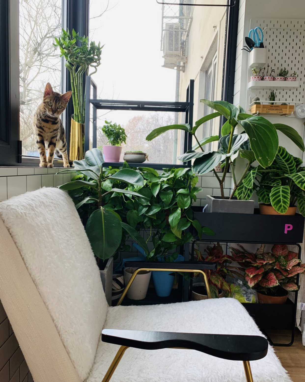 家里家外都收拾得井井有条,这是我见过最强收纳家具