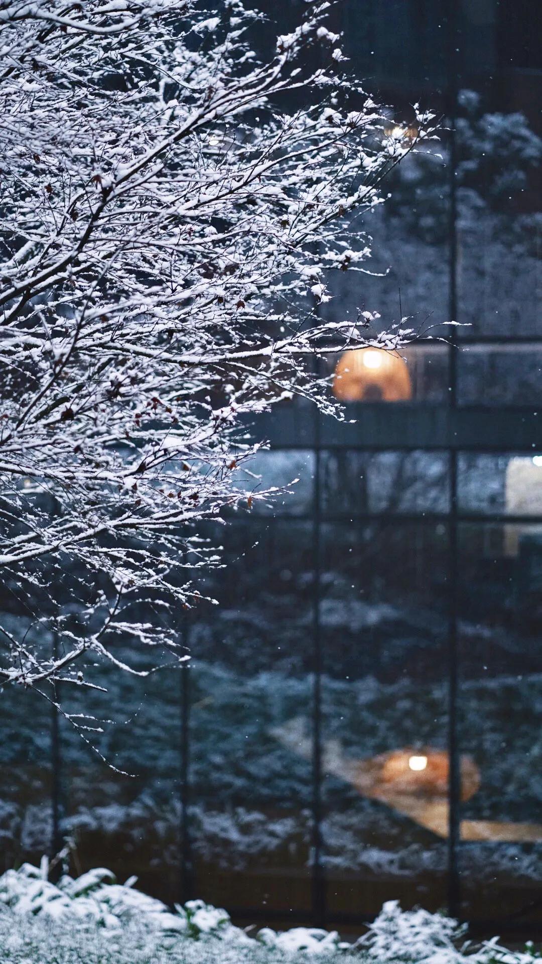 森林秘境的温泉,森林里野奢温泉度假酒店下午茶