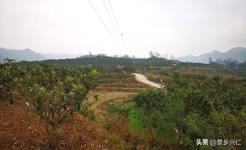 兴仁市巴铃镇花坝村加强技术培训巩固脱贫成效