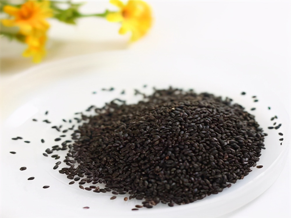 香草罗勒种子,香草降糖草苗