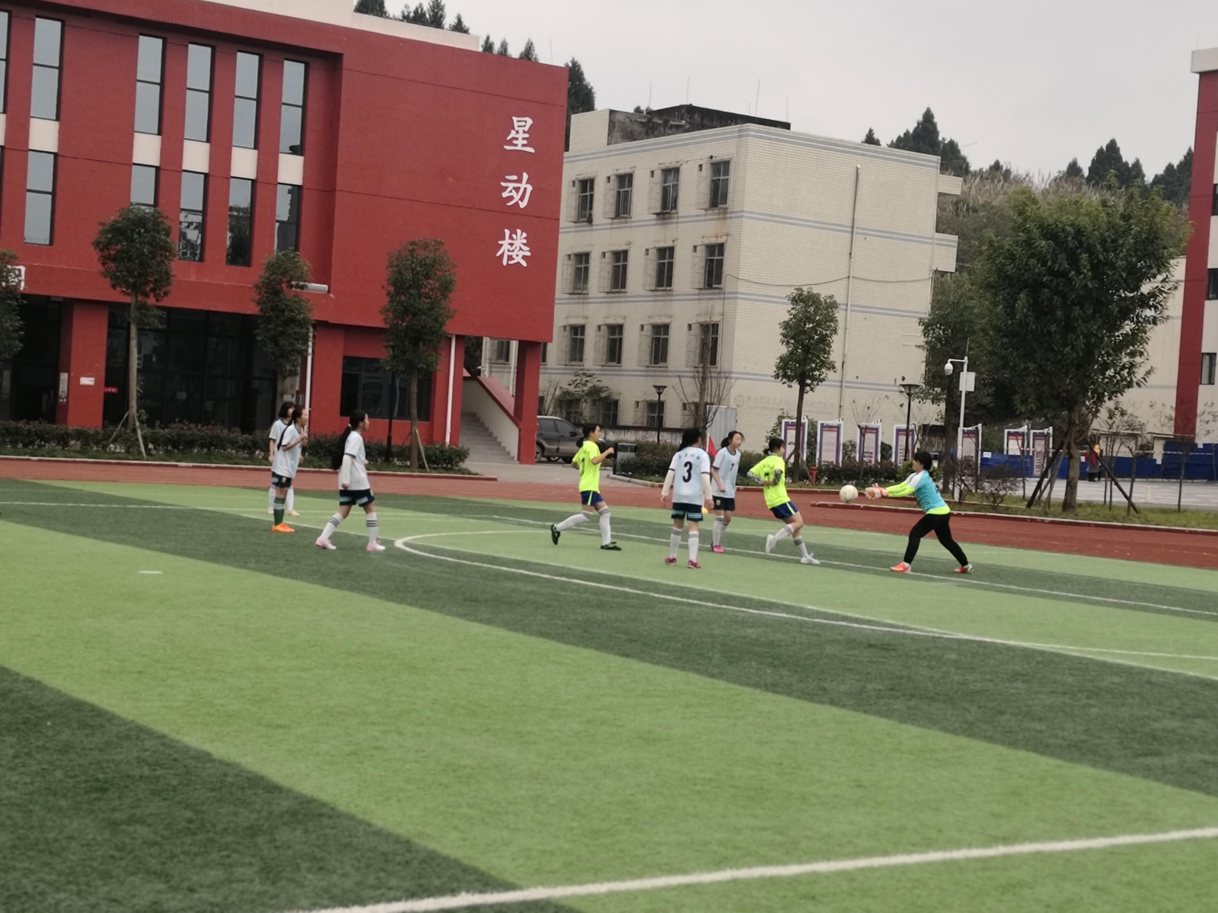 成都市成华区青少年校园足球联赛,成都双水小学新校区足球联赛