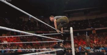 拳王暴打wwe,施瓦辛格一拳打倒wwe