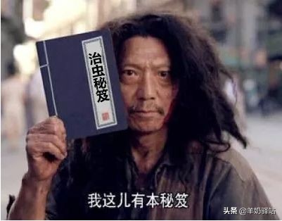 用什么方法防止虫叮咬最好,夏天蚊虫叮咬教你灭虫小姿势