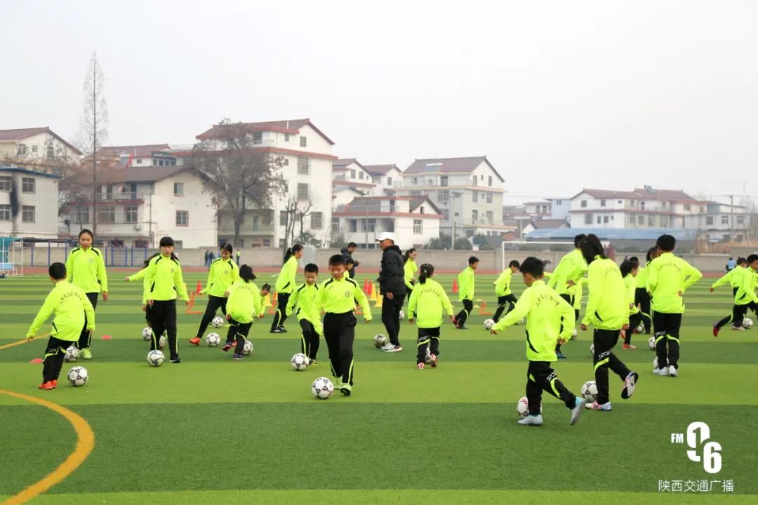 草根教练个人资料,草根教练视频全集