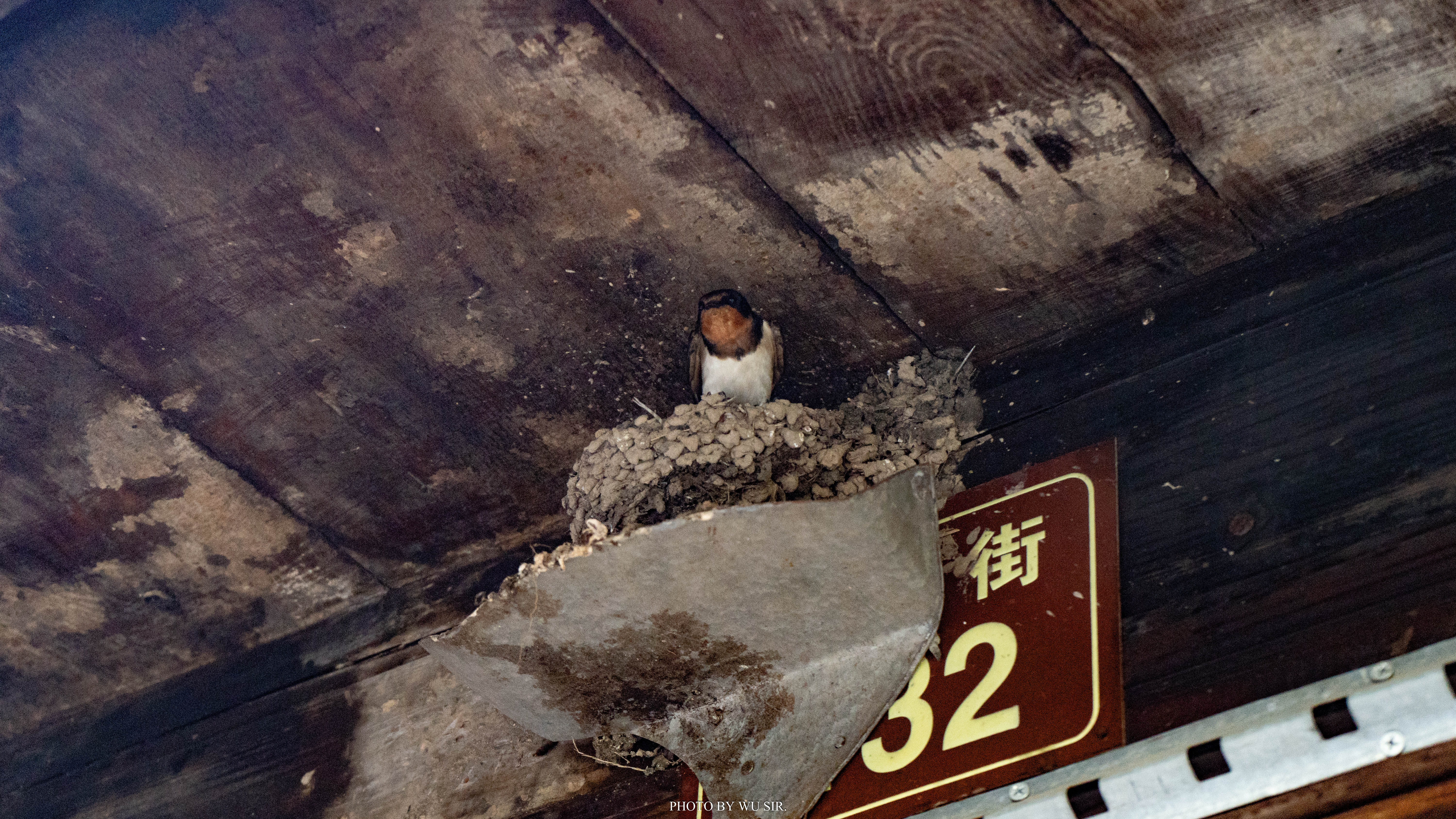 我与临海的三天两夜：从自然走向人文，从人文体悟生活