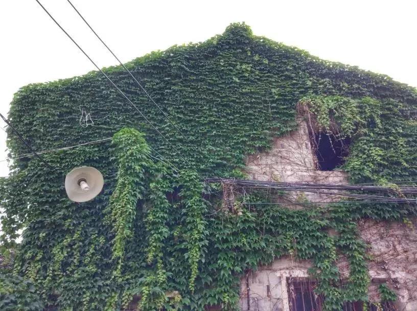 勇敢者的天堂—雷峰漂流，游张思古村一个可以托梦的故乡