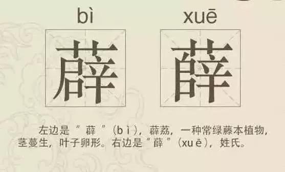 有趣的双胞胎汉字,双胞胎汉字你能分清吗
