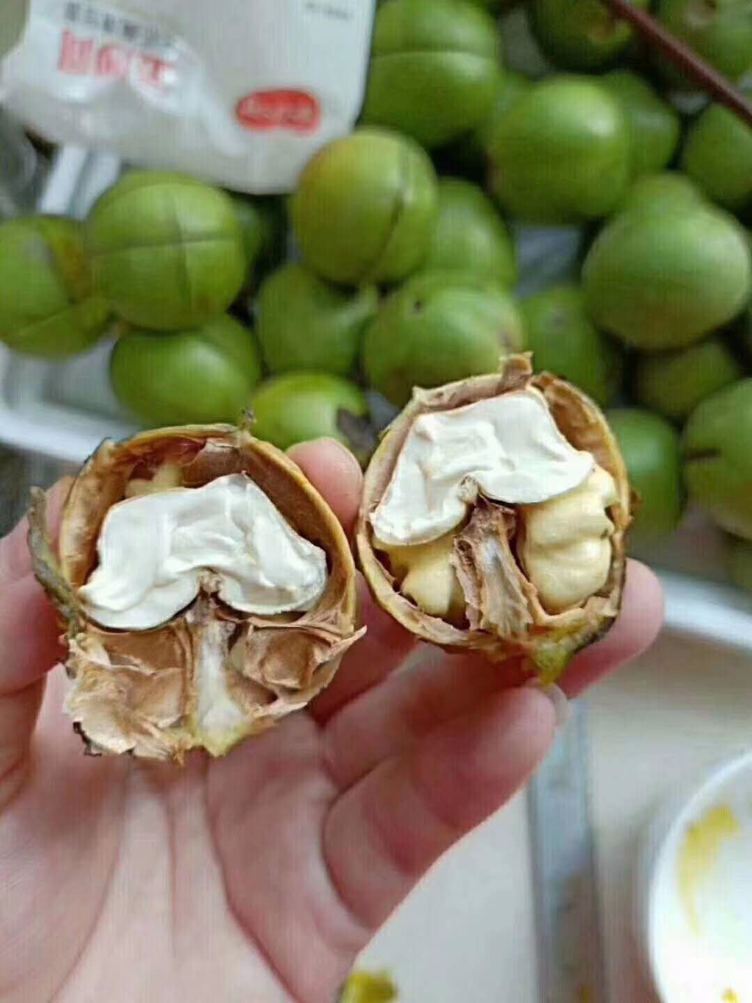 吃个核桃手指被划了,吃个核桃把手弄破了