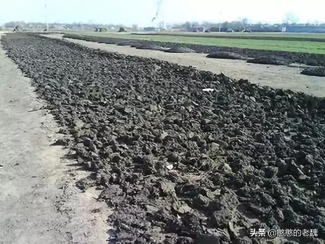 羊粪牛粪鸡粪有机肥有什么区别,鸡粪牛粪猪粪羊粪哪个更好呢