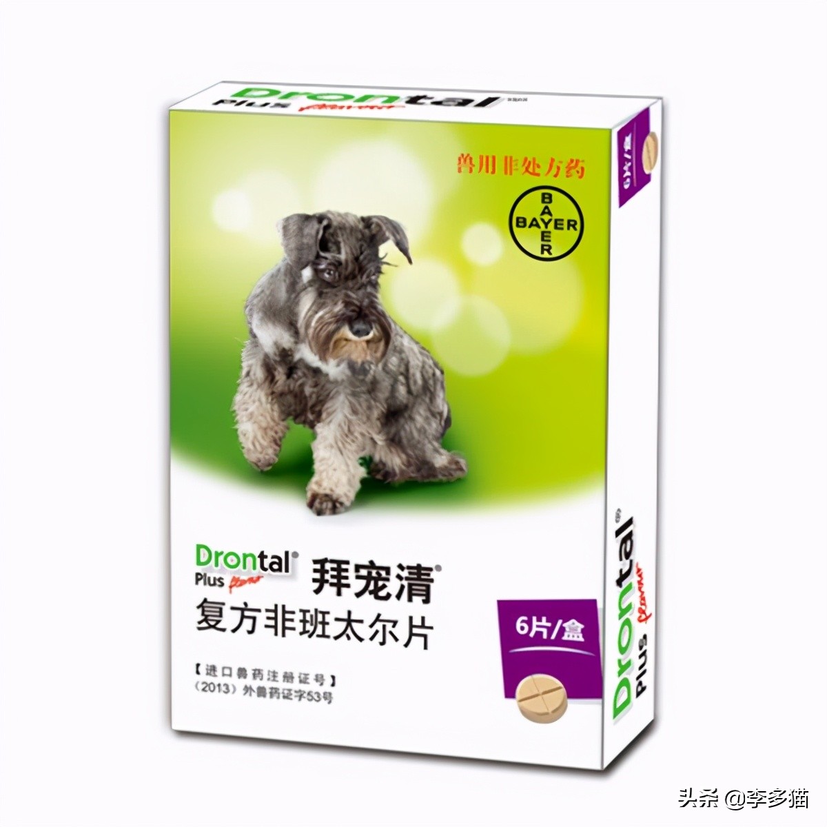 新手养猫必看一招搞定猫咪驱虫,养宠须知这份猫咪驱虫指南请收好