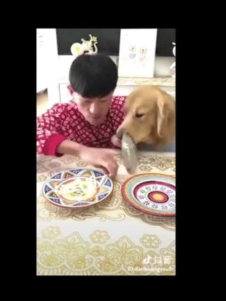 海外抖音tiktok怎么挣钱,tiktok视频放到抖音上