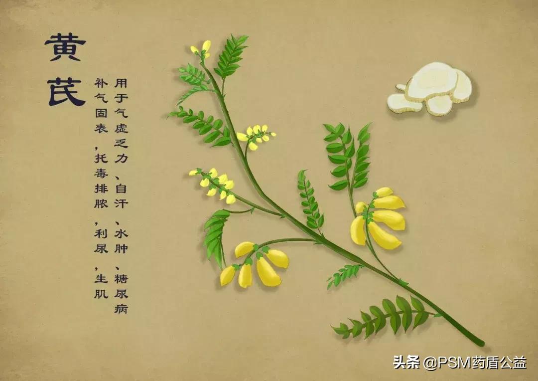 春暖花开手绘视频,春暖花开中药贴画