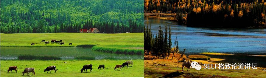 新疆天山申请世界自然遗产,天山为什么被入选为世界自然遗产