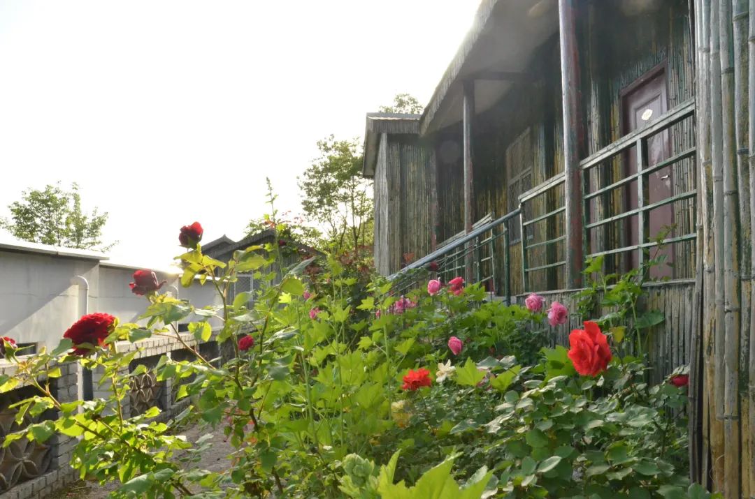 洛阳附近避暑山庄,洛阳最美避暑山景区介绍