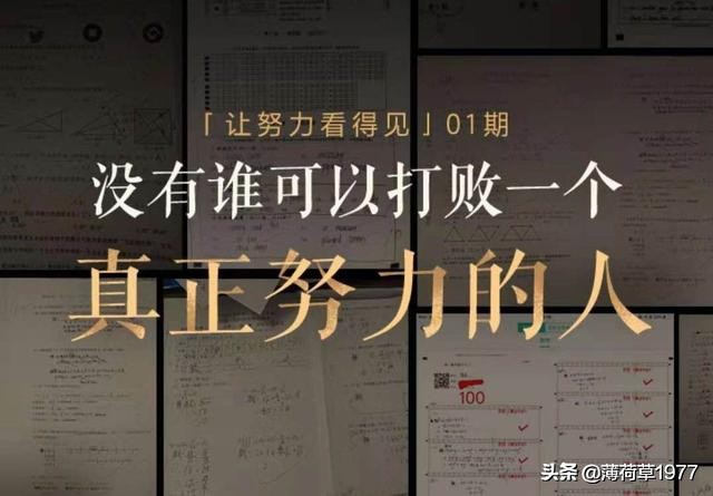 数组除积公式excel,数组查询excel公式