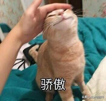 如何彻底删除电脑上的流氓软件,电脑流氓软件怎么彻底清除win10