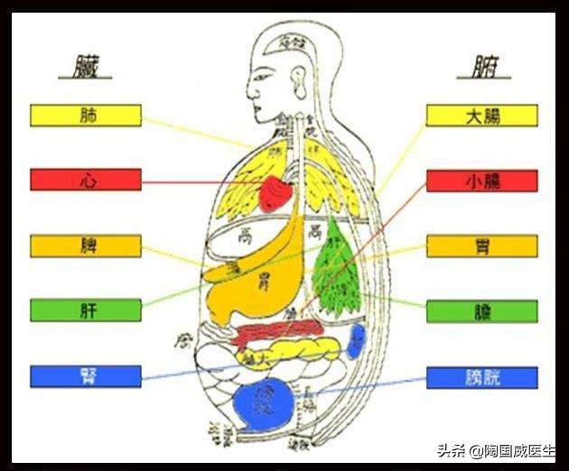 肿瘤康复纪实,肿瘤治疗指南书