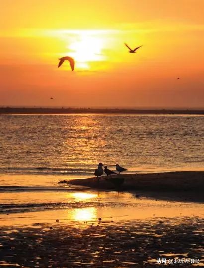 摄影一定要后期处理吗,摄影后期有哪些步骤